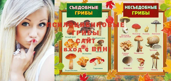 ешки Вяземский